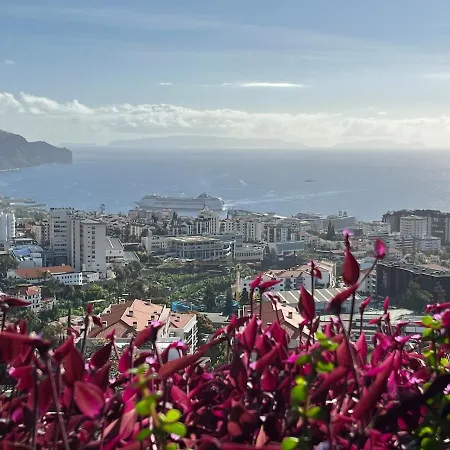 Appartement Panorama Calling - Design Apartment, Unique And Individual With Amazing Views